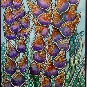 Coral-serien